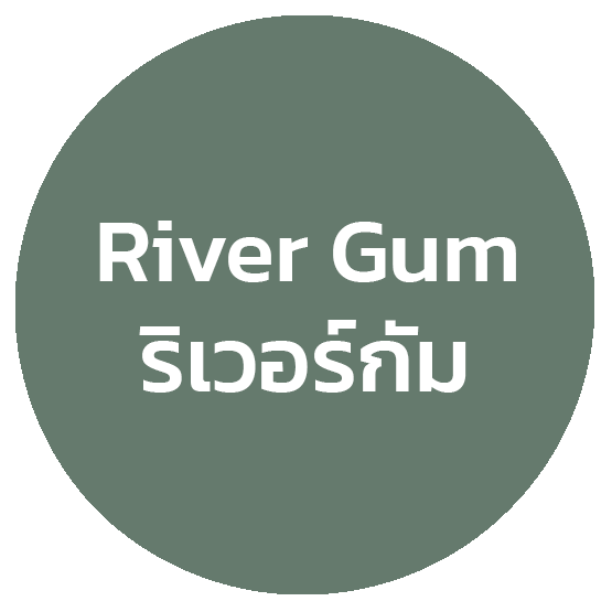 rivergum ลิเวอร์กัม